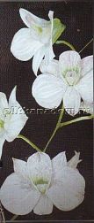 Bars Crystal Панно Chinese Orchid JQHO28 100х200 см