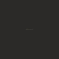 Alma Ceramica GFU04WIN20R керамогранит матовый Twin Black 60x60x9