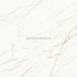 Laparet Europa Gold 1 Белый Матовый Карвинг Керамогранит 60x60 см
