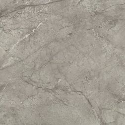 Atlas Concorde Marvel Meraviglia Silver Majestic Velvet Серый Глянцевый Керамогранит 120x120 см