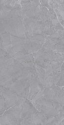 Fusure ceramic Luxury sone SS12073 Pol Серый Полированный Керамогранит 60х120 см