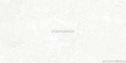 Alma Ceramica Piemonte TWU09PMT004 Керамическая плитка 24,9x50