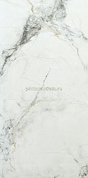 Arcadia Ceramica Room Silver Полированный Керамогранит 60x120 см