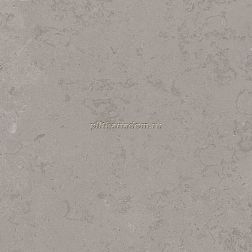 Kerama Marazzi Про Лаймстоун DD640920R Серый Натуральный обрезной Керамогранит 60х60 см