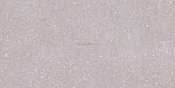 Tau ceramica sassy Керамогранит silver rec 60x120