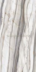 ABK Group Sensi 900 Oyster White Nat Rett Серый Матовый Ректифицированный Керамогранит 60x120 см
