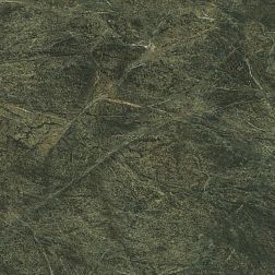 Kerama Marazzi Риальто Нобиле SG649222R Зелёный Тёмный Обрезной Керамогранит 60x60 см