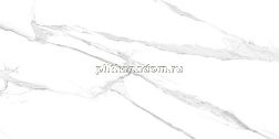 Realistik Индия Laxveer Ceramic Albeta Statuario Керамогранит 60x120 см