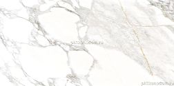 Staro Palacio Statuario Altimo Polished Керамогранит 60x120