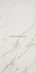 Casalgrande Padana Marmoker Statuario Oro Lucido Керамогранит 118x59 см