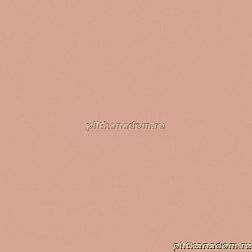 Equipe Bauhome Rose Розовый Матовый Керамогранит 20x20 см