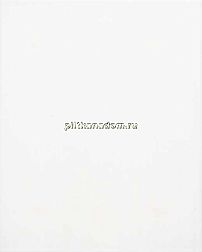 Tubadzin Monokolor Biala Mat Настенная плитка 33,3х60 см