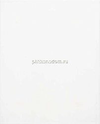 Tubadzin Monokolor Biala Mat Настенная плитка 20х25 см