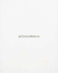 Tubadzin Monokolor Biala Настенная плитка 25х36 см