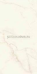 Atlas Concorde Marvel X Calacatta Apuano Lappato  Керамогранит 60x120 см