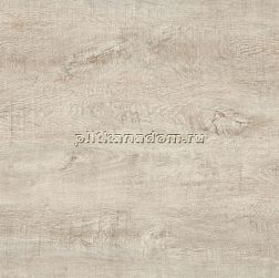 TGT Ceramics Rosewood Y1P66093A Palissandro beige Керамогранит полированный 60х60 см