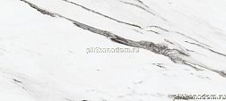 Museum Museum-P Statuario Plus NAT R Керамогранит 75,5х151 см