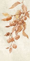 Tubadzin Enna Cherry Декор 22,3x44,8 см