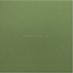 Equipe Rivoli Green Зеленый Матовый Керамогранит 20x20 см