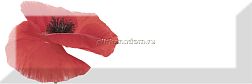 Absolut Keramica Poppy Decor Poppy 01 Декор 10х30 см