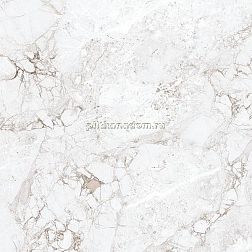 Absolut Gres Rossalia Natural Серый Полированный Керамогранит 60x60 см