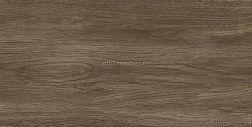 Creto Mountain bistre 00-00-5-10-01-15-2836 Плитка настенная 25x50 см