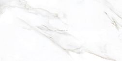 Realistik Индия Laxveer Ceramic Aura Statuario Glossy Белый Полированный Керамогранит 60x120 см
