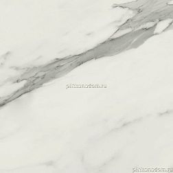 APE Ceramicas Statuary Venato Grigio Matt, Rect, Керамогранит 60х60 см