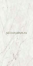 ABK Group Sensi 900 Carrara Lux Rett Белый Глянцевый Ректифицированный Керамогранит 60x120 см