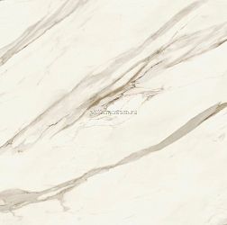 Atlas Concorde Marvel Meraviglia Calacatta Bernini Velvet Белый Глянцевый Керамогранит 120x120 см