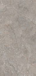 Flavour Granito William Grey Natural Glossy Серый Полированный Керамогранит 60x120 см