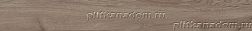 Paradyz Wildland PARWIL013 Напольная плитка 14.8x119.8 см