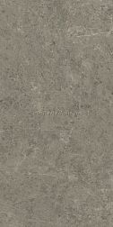 Atlas Concorde Marvel Meraviglia Grigio Elegante Lapp. Серый Лаппатированный Керамогранит 120x240 см