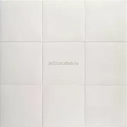 Mainzu Technical Soft Керамогранит PT03698 Shell 20x20
