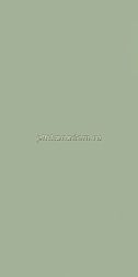 Paradyz Feelings Green Зеленая Матовая Настенная плитка 29,8x59,8 см