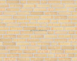 Randers Tegl Classica Gelb geflammt Handstrichziegel RT 215 ENG Кирпич ручной формовки 21,5х2х6,5 см