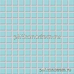 Rako Pool GDM02003 Мозаика 2,5x2,5 30x30 см
