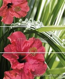 Cerrol Imperia Hibiskus Панно (из 3-х штук) 60x50 см
