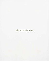 Tubadzin Monokolor Biala Настенная плитка 33,3х60 см