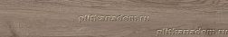 Paradyz Wildland PARWIL014 Напольная плитка 14.8x89.8 см