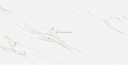 Staro Slim Arts Calacatta Borgini Polished Белый Полированный Керамогранит 60x120