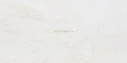 NT Ceramic Zeus ZS612NTT9701M Керамогранит 60x120 см